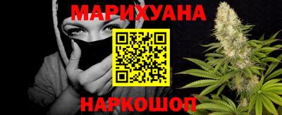 МДПВ Бердск