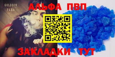 МДПВ Бердск